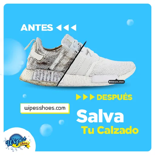 Wipes Shoes