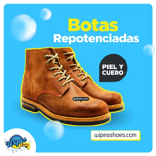 Wipes Shoes