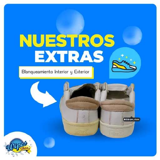 Wipes Shoes